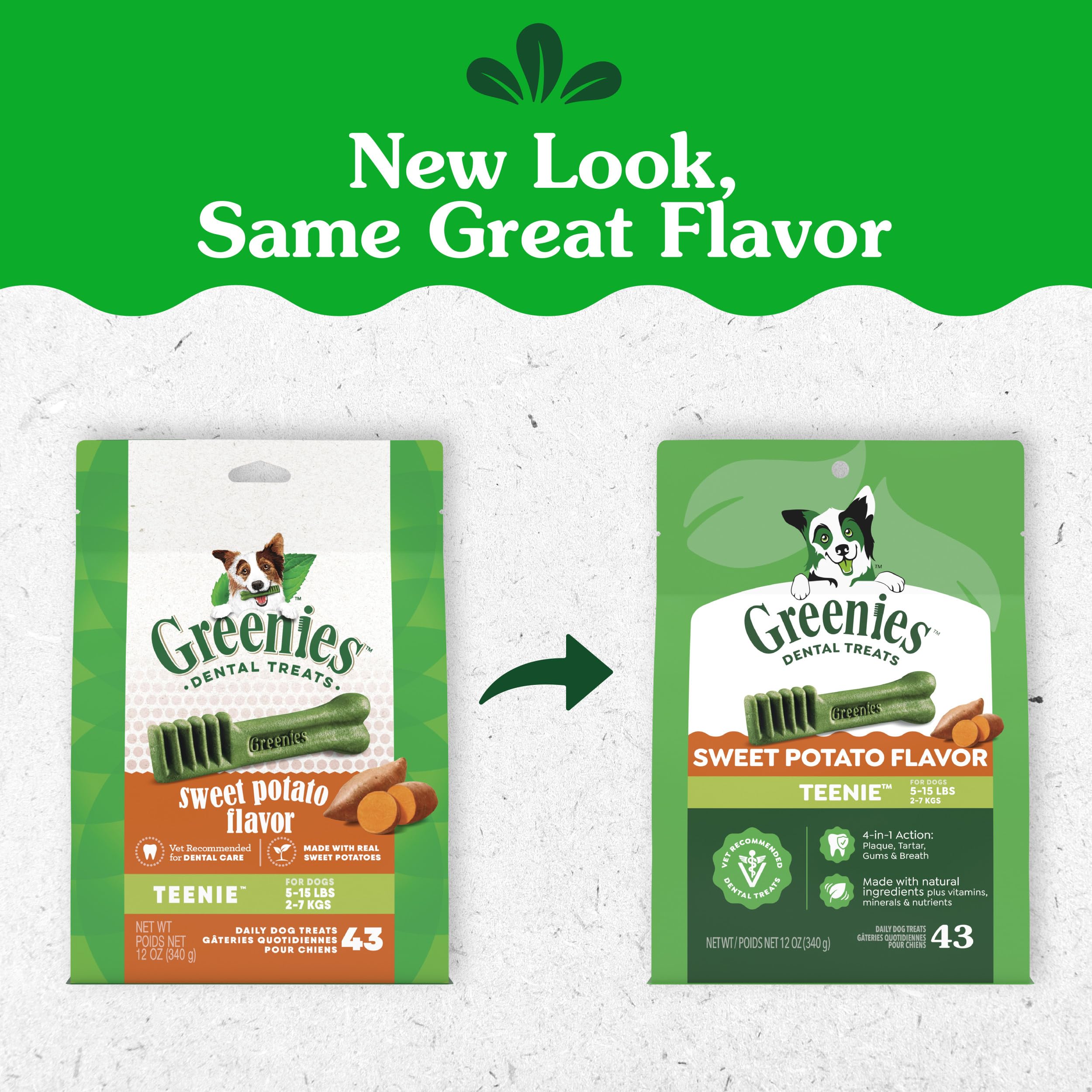 Greenies Teenie bâtonnets en main illustrant la taille idéale