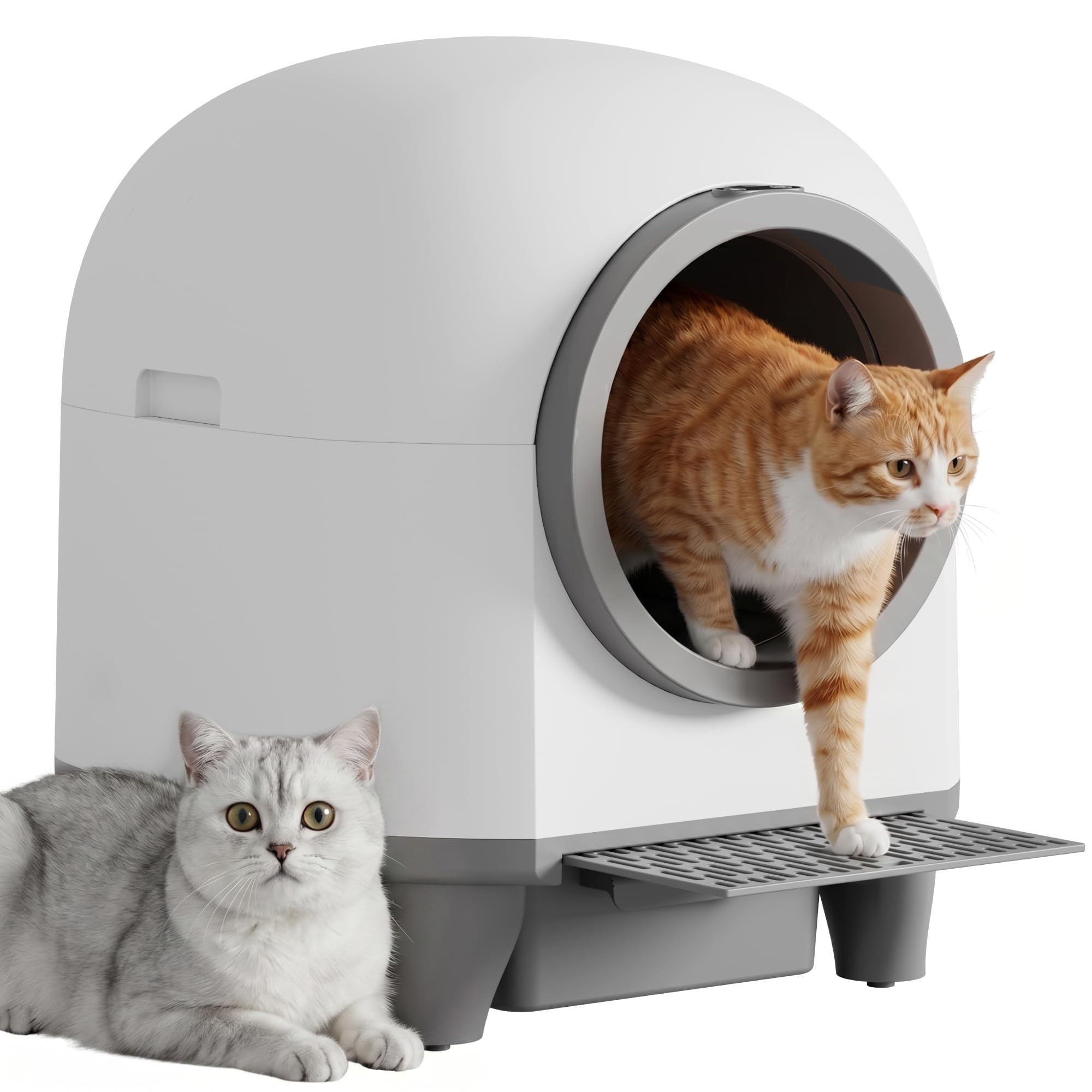 Greesum face avant montrant l'enclos et l'accès sécurisé, intimité pour le chat