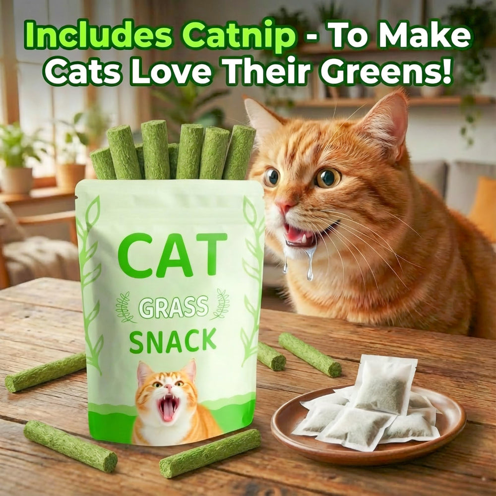 GREMBEB ingrédients herbe à chat et poulet illustrant naturalité