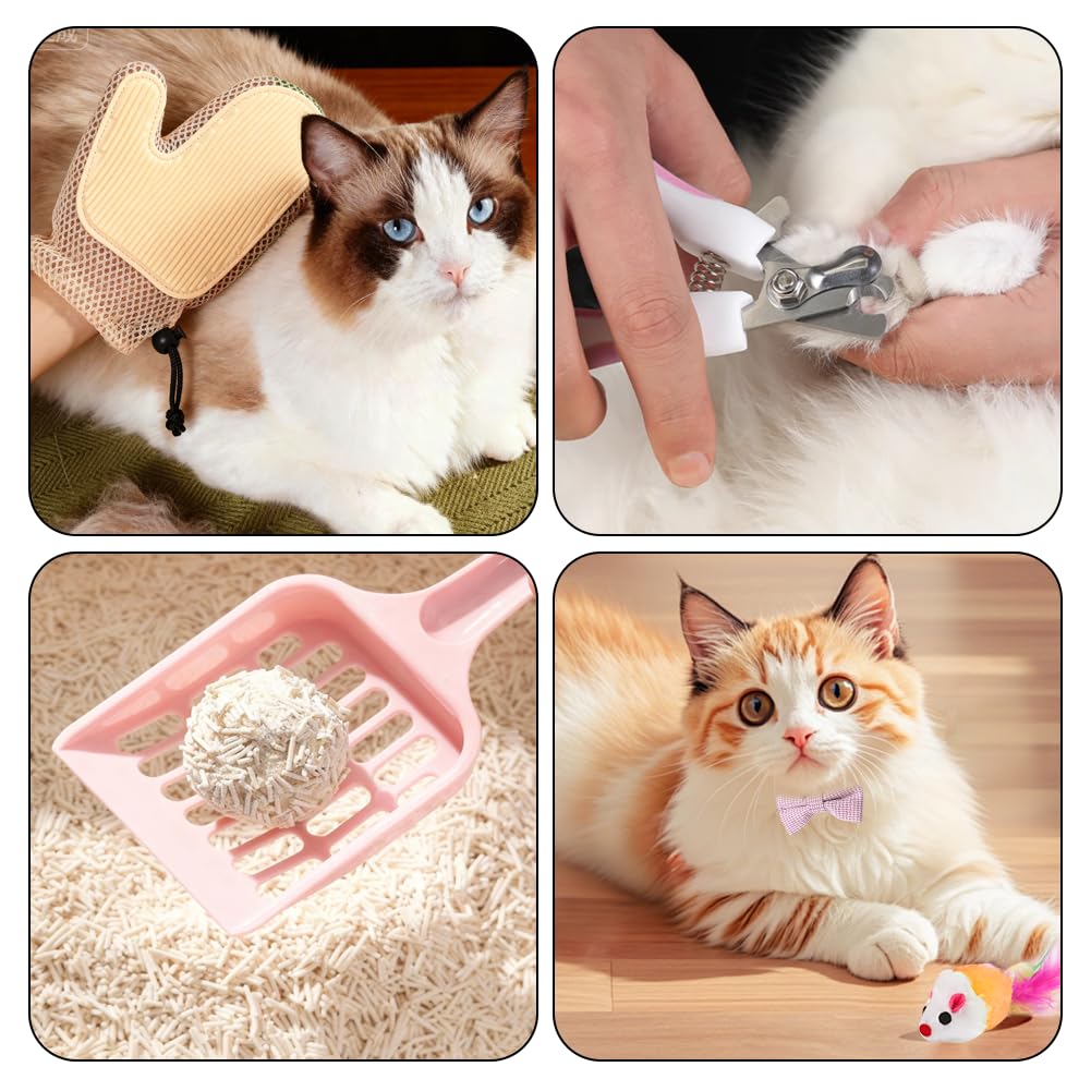 GRETJOB comparaison taille avec chaton montrant proportions adaptées