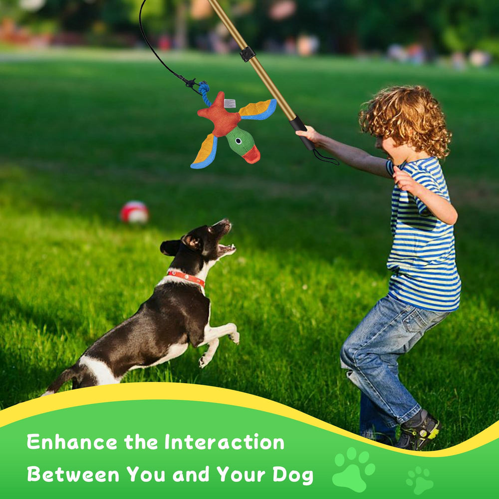 GRETMIX canne en action avec chien en poursuite pour exercice cardio