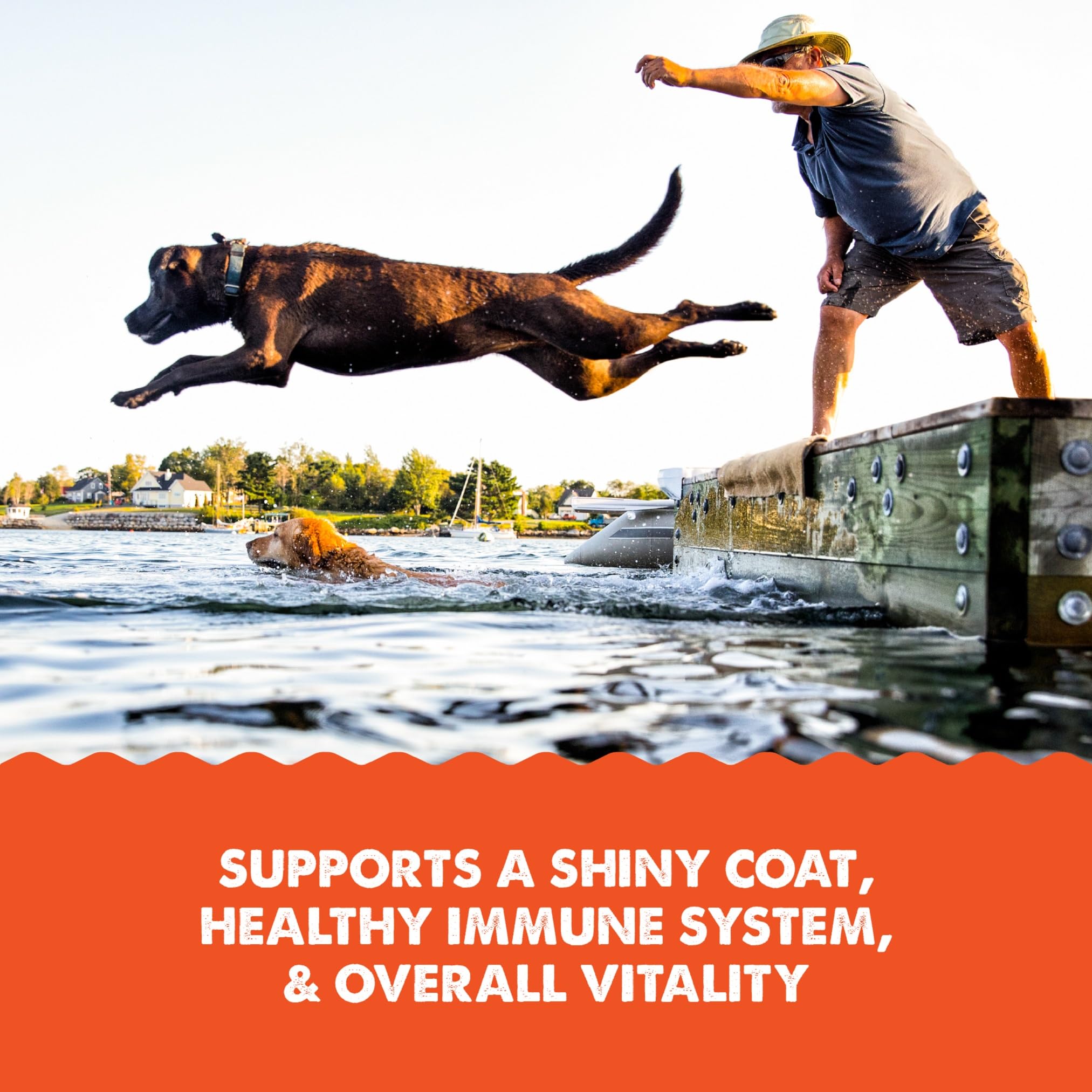 Grizzly Pet Products dos du flacon avec composition pour traçabilité