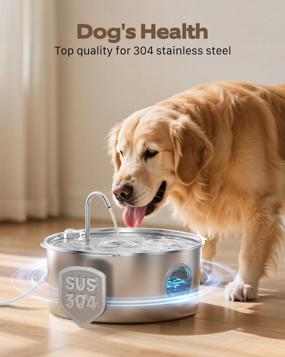 GROOKPET plateau profond adapté aux grands chiens pour boire confortablement