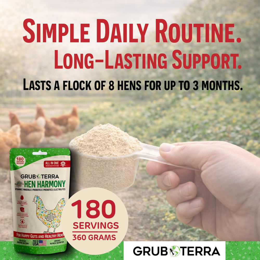 GrubTerra HenHarmony dissous dans un abreuvoir montrant réhydratation immédiate