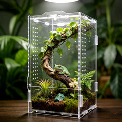 GTSEEMUU vue avant du terrarium acrylique offrant visibilité complète