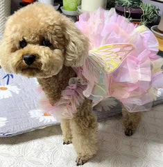 Guangte chien et chat portant la robe pour photos festives extérieures
