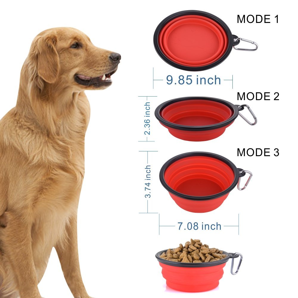 Guardians bol en usage rempli d'eau hydratation facile pour chien