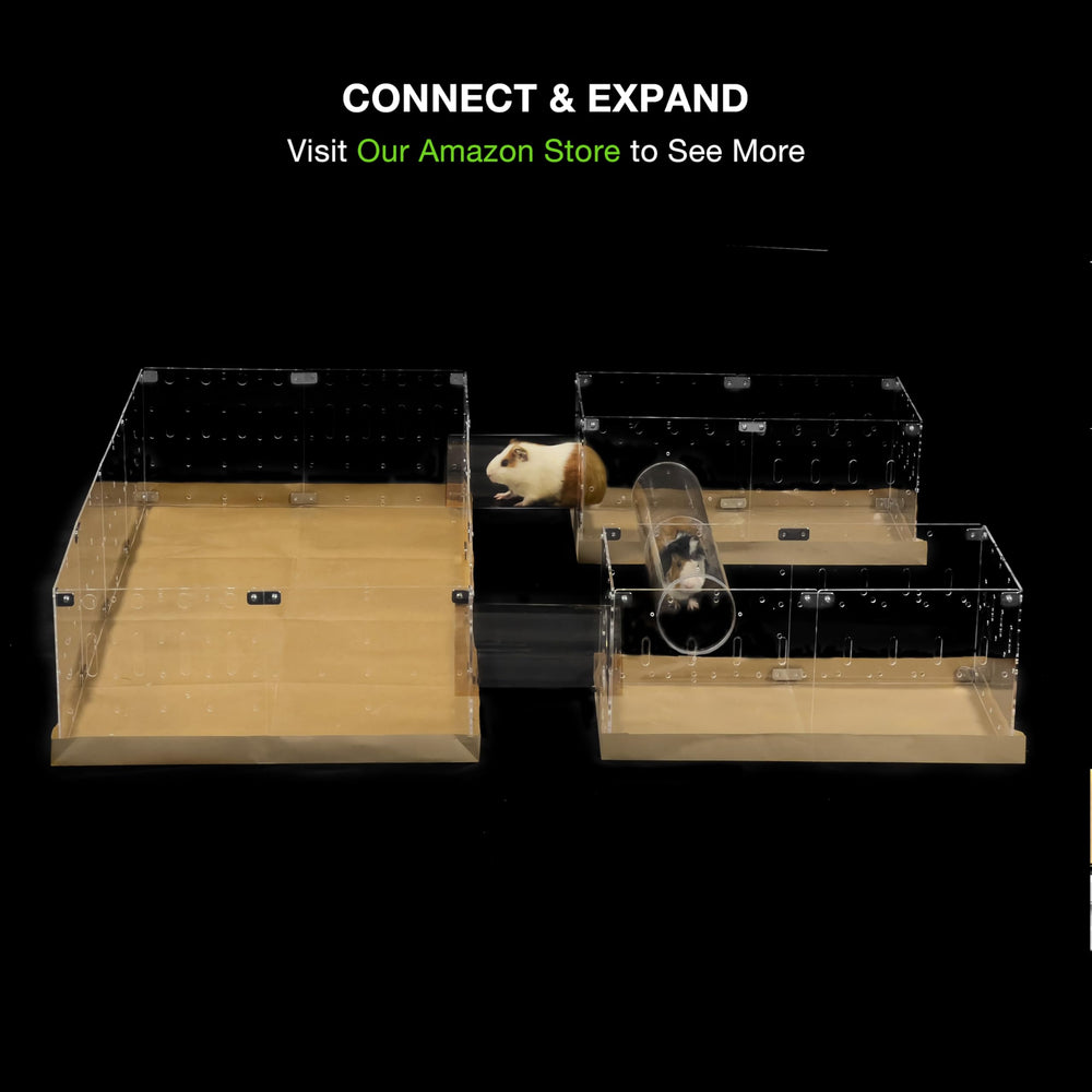 GuineaLoft intégré dans un salon moderne comme pièce centrale élégante