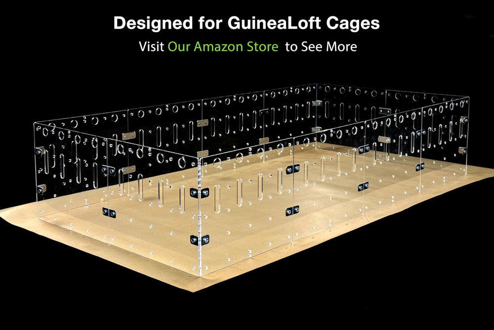 GuineaLoft feuille plate posée dans une cage, facilité d'entretien visible