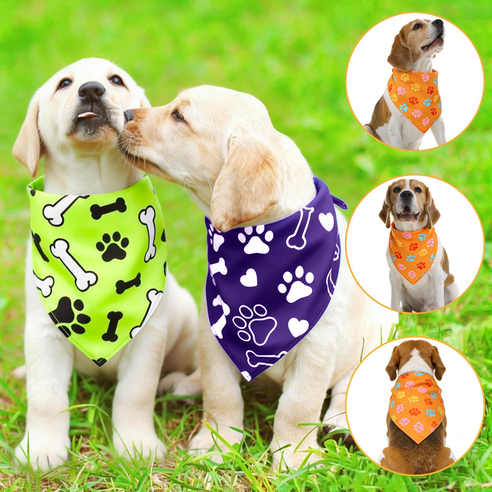 Guiqulai bandana porté sur chien moyen, montre l’allure tendance et confortable