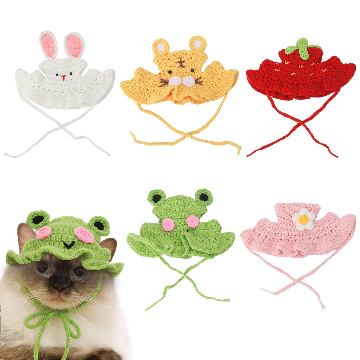 Guiqulai pack avant montrant les cinq motifs pour photos adorables