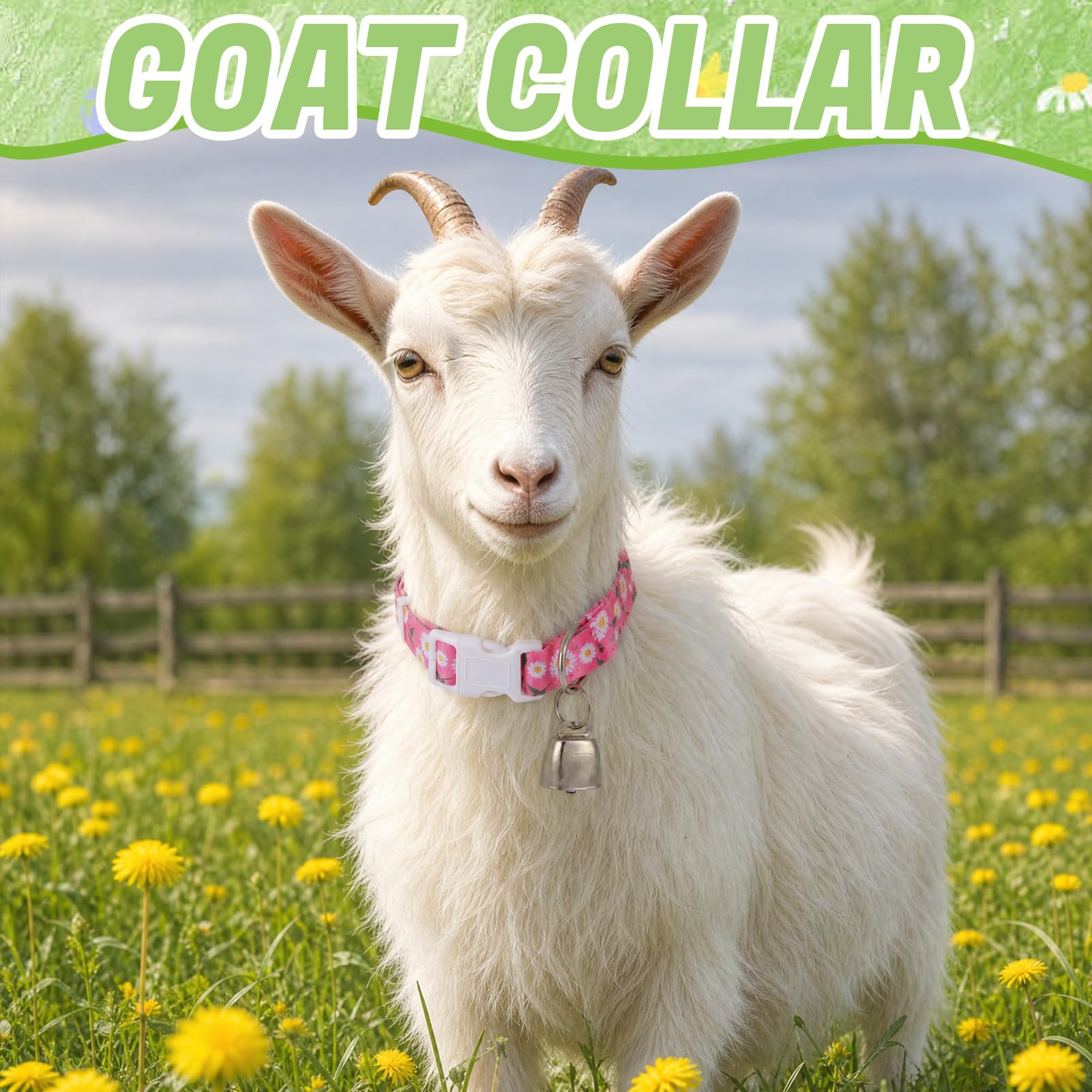 Guiqulai collier porté par chevreau, maintien sécurisé et confortable