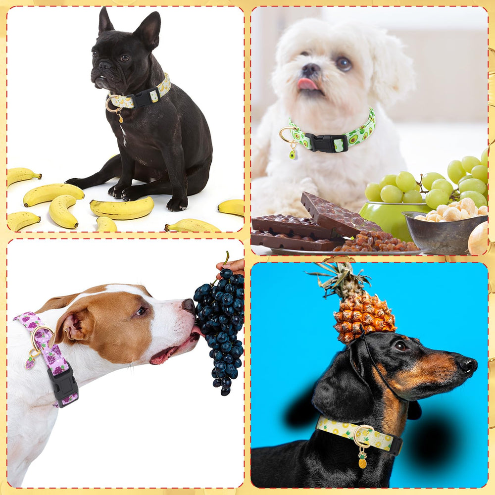 Guiqulai collier porté par chien moyen montrant confort et ajustement
