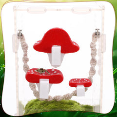 Guiqulai plateforme installée dans terrarium encourage exploration active