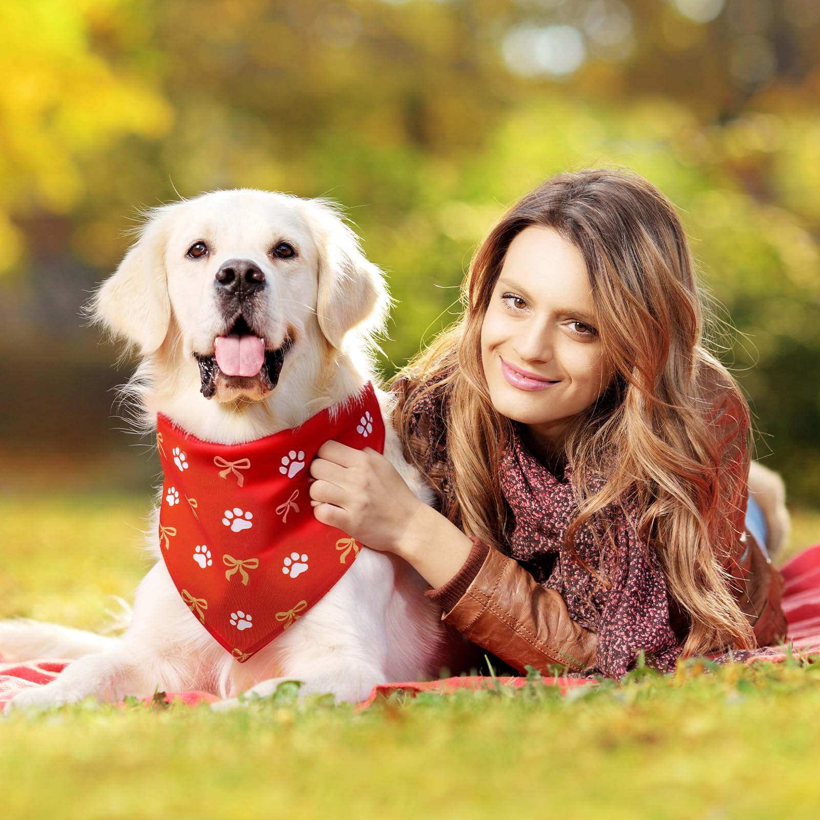 Guiqulai scène de fête avec chiens en bandanas, parfait pour événements et photos