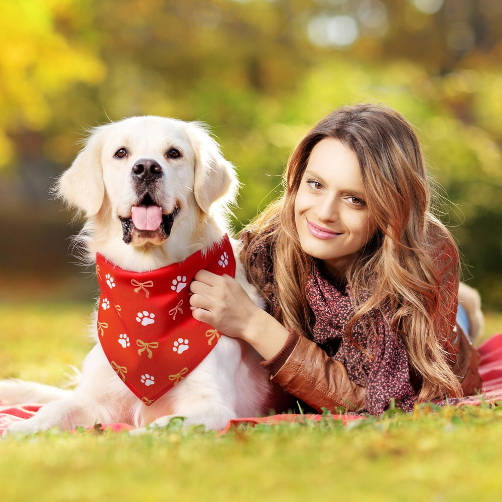 Guiqulai scène de fête avec chiens en bandanas, parfait pour événements et photos