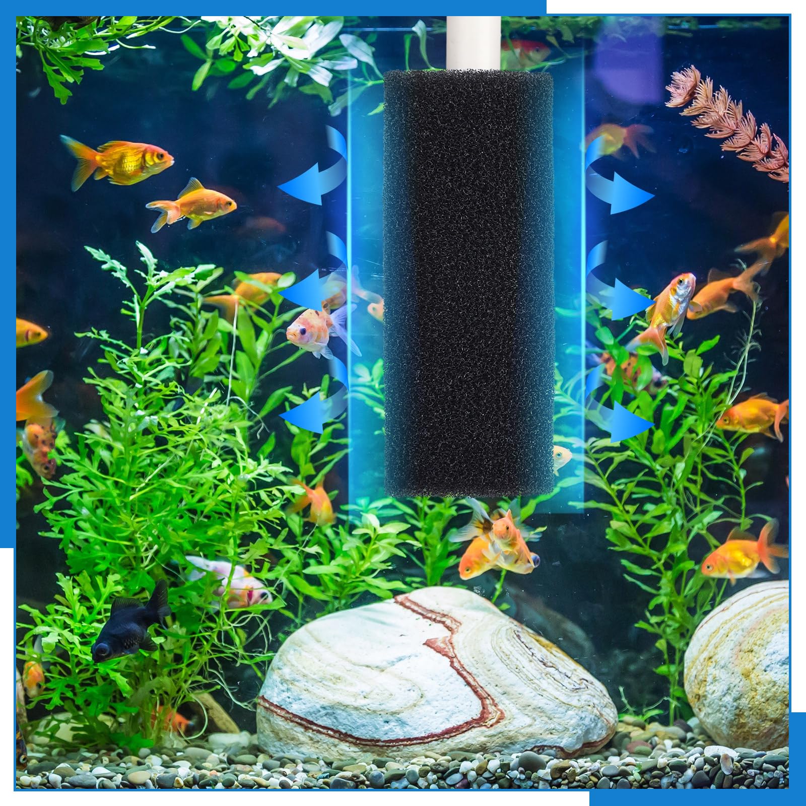 Gulfmew mousse dans aquarium maintient qualité d'eau stable