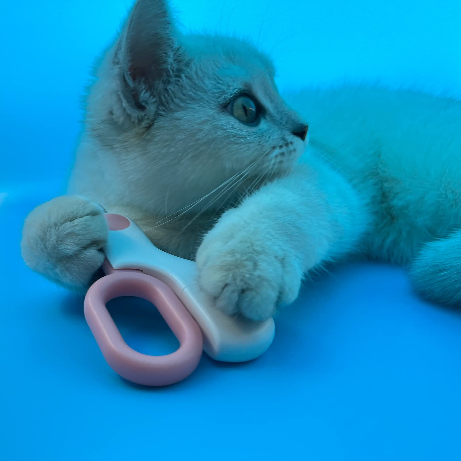 GuLuPets coupe-ongles posé près d’une règle montrant l’échelle et la taille