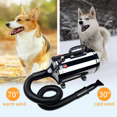 GULUQI en usage sur chien pour séchage rapide et réduction de poils