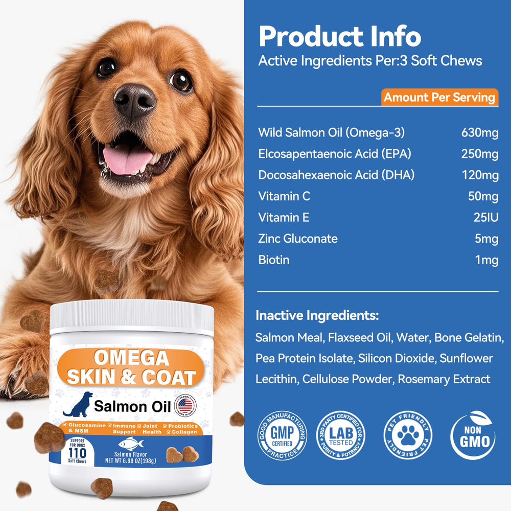 Chien au pelage brillant après cure GuruAmi en contexte domestique naturel