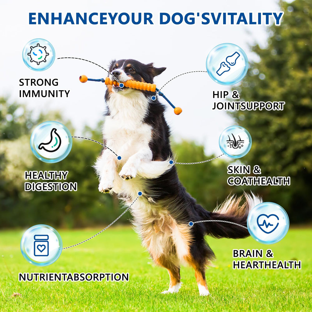 GuruAmi product utilisé par chien heureux, bénéfice acceptation élevée