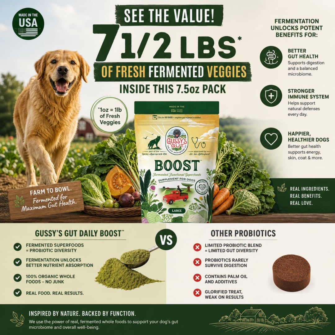 Chien acceptant GUSSY'S GUT au repas, scène lifestyle montrant appétence et confort digestif
