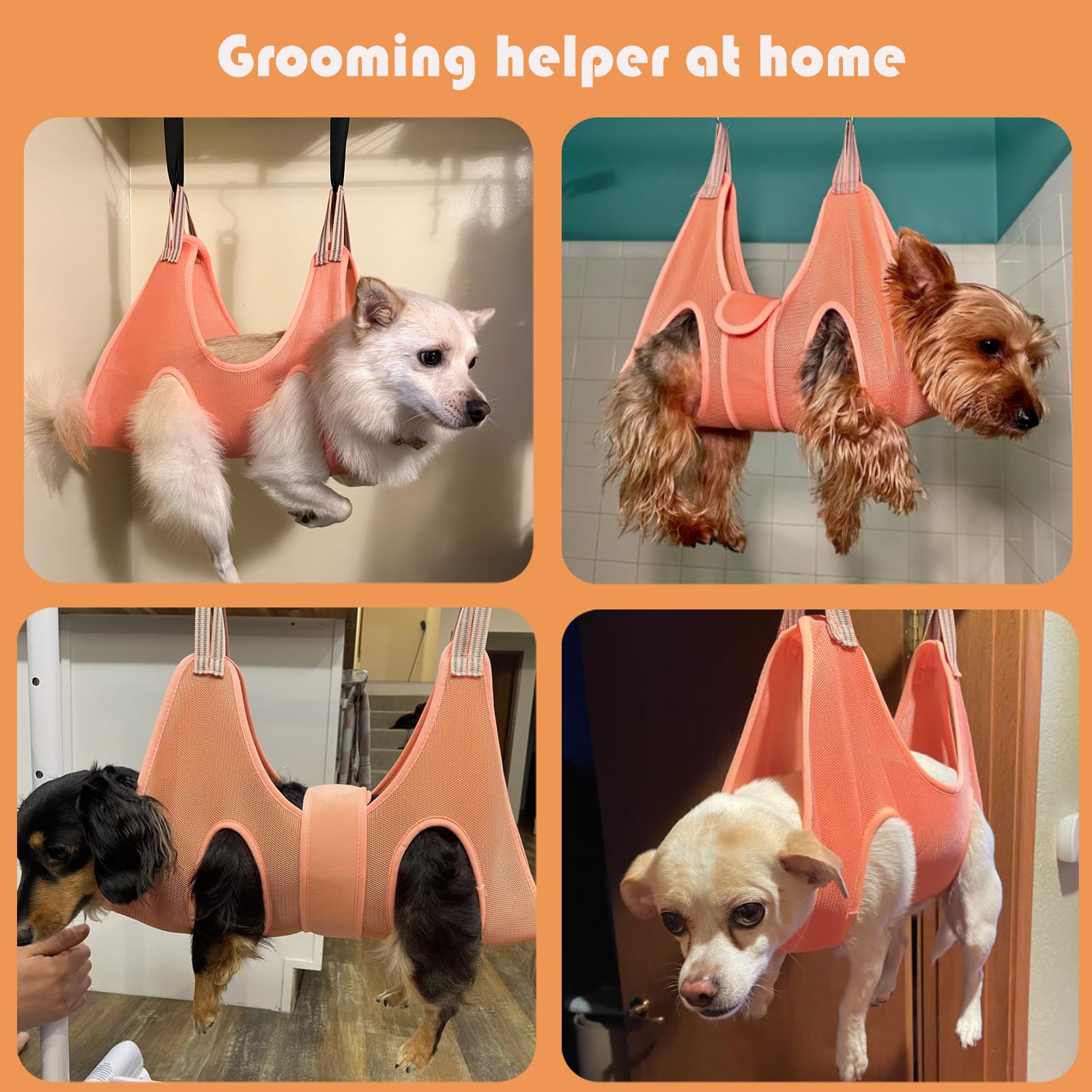 Guzekier comparaison d'échelle illustrant la taille adaptée aux petits chiens