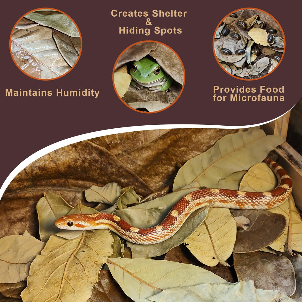 Gxsdj feuilles utilisées dans terrarium pour reptiles améliorant le décor naturel