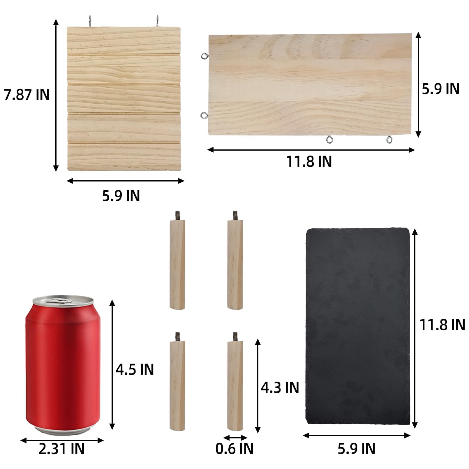 Gxsdj échelle taille comparative montre dimensions et adaptation pour terrarium