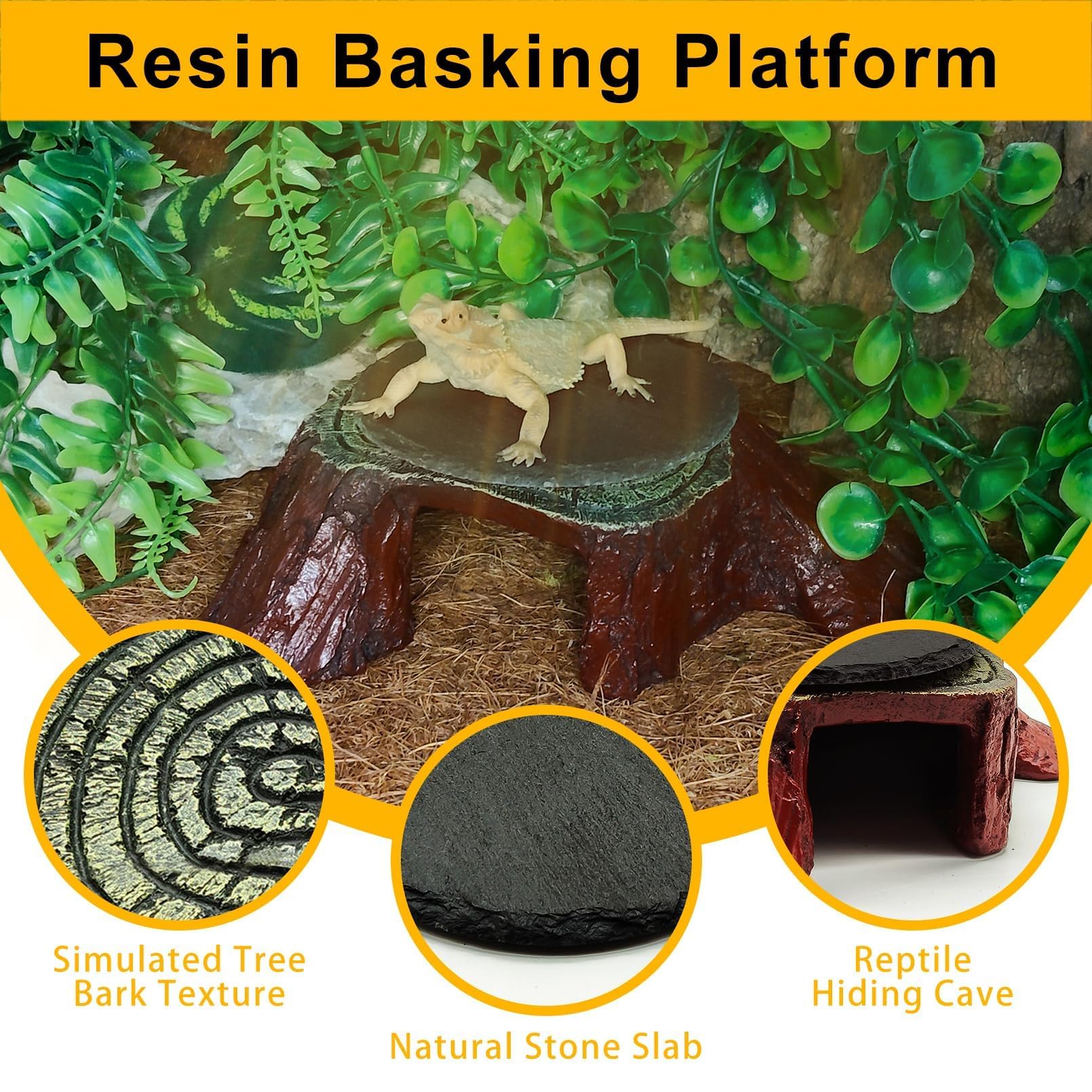 Gxsdj plateforme installée dans terrarium pour décor naturel apaisant