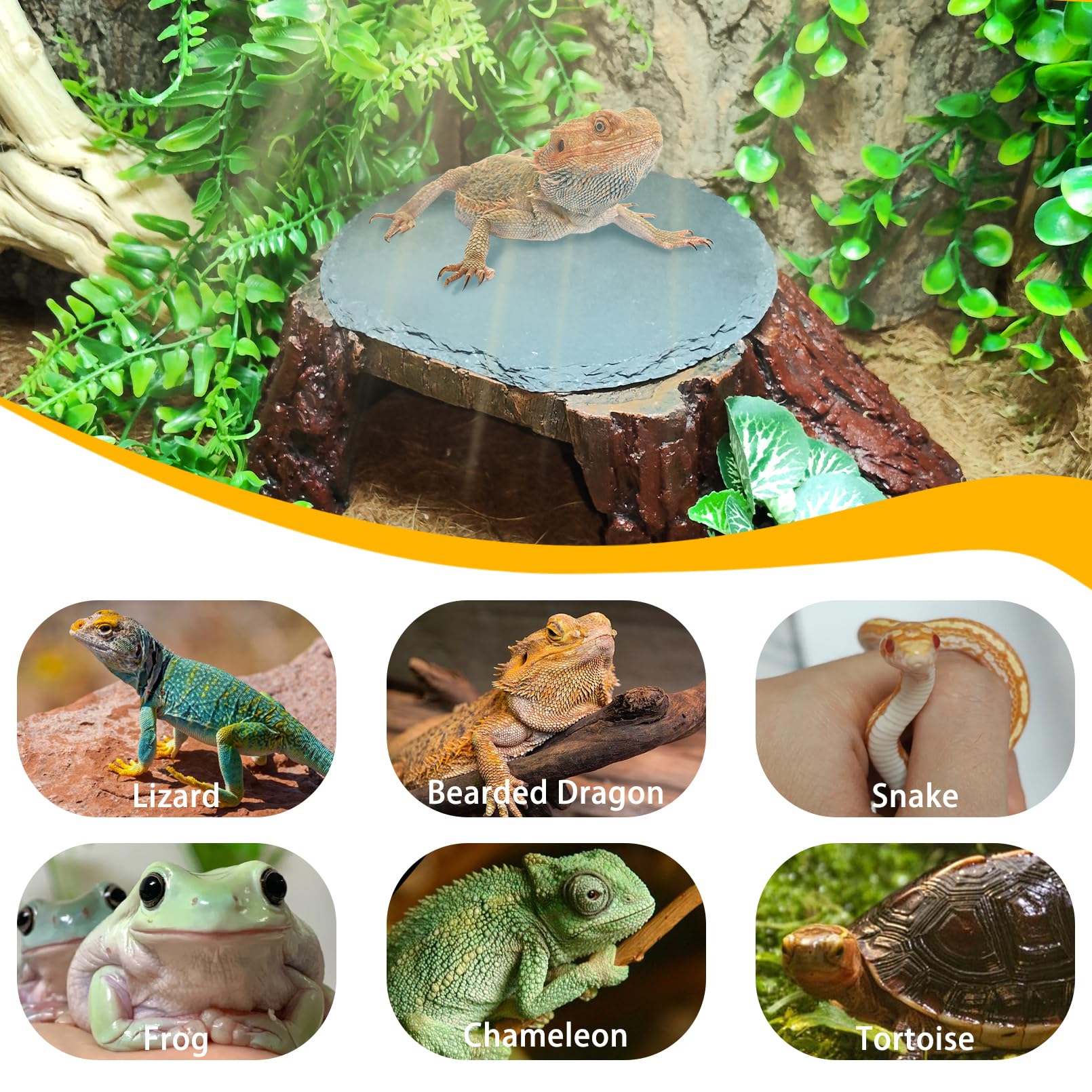 Gxsdj reptile utilisant plateforme pour bronzage et repos confortable