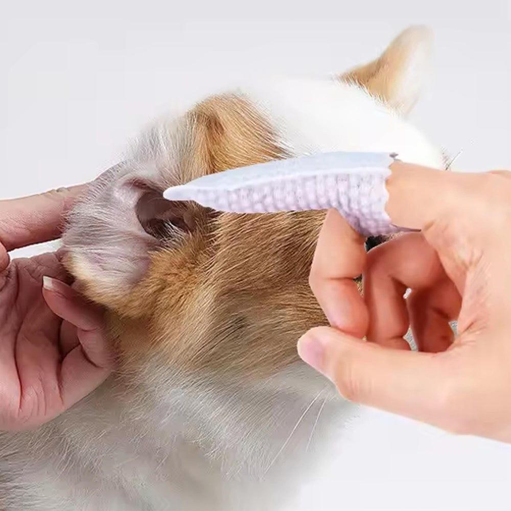 H&H Pets mise en scène trousse de voyage pour soins dentaires en déplacement