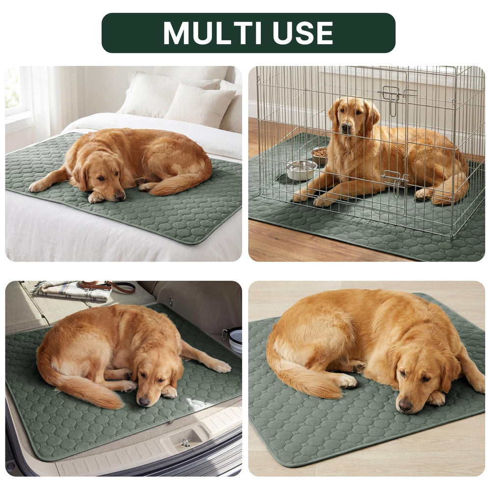 H.VERSAILTEX comparaison taille 36x48 montrant l'échelle pour chien