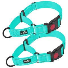 haapaw collier martingale face turquoise offrant contrôle et style
