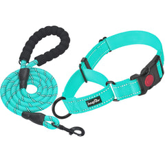 haapaw collier martingale face avant montrant design et couleur turquoise