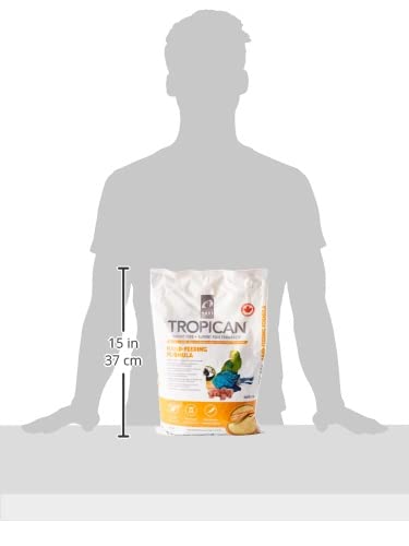 HAGEN HARI tropican gros plan des granules micro-moulues facile à préparer