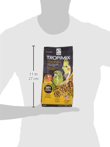 HAGEN HARI Tropimix servi dans une coupelle pour appétit amélioré