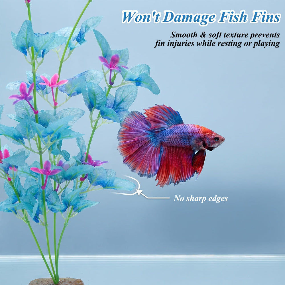 HaiFafafaing plante installée dans aquarium apportant cachette et esthétique