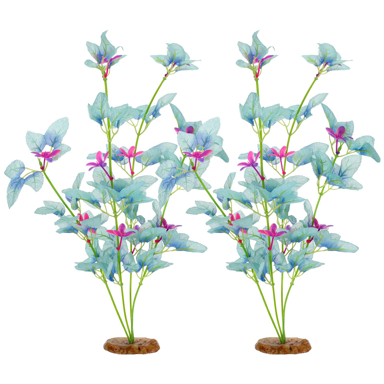 HaiFafafaing face avant de la plante cyan montrant design et dimensions utiles