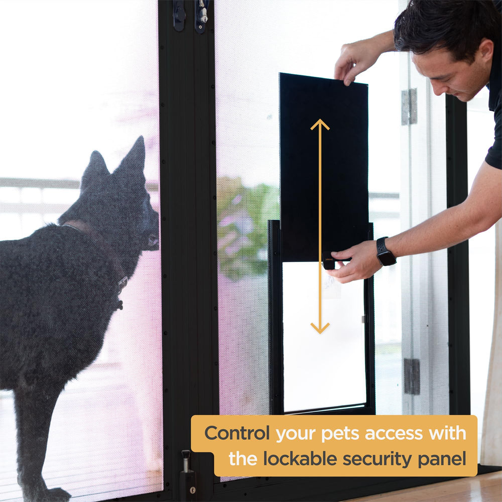 Hakuna Pets scène lifestyle chat sortant en toute indépendance et sécurité