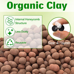 Halatool gros plan sur billes d'argile montrant texture poreuse bénéfique