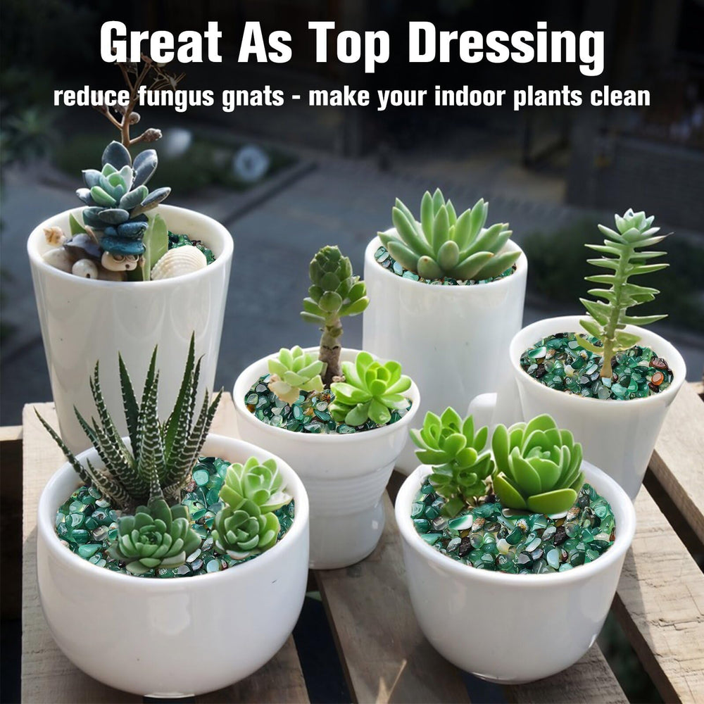 Terrarium miniaturisé utilisant Halatool pour paysages naturels et drainage