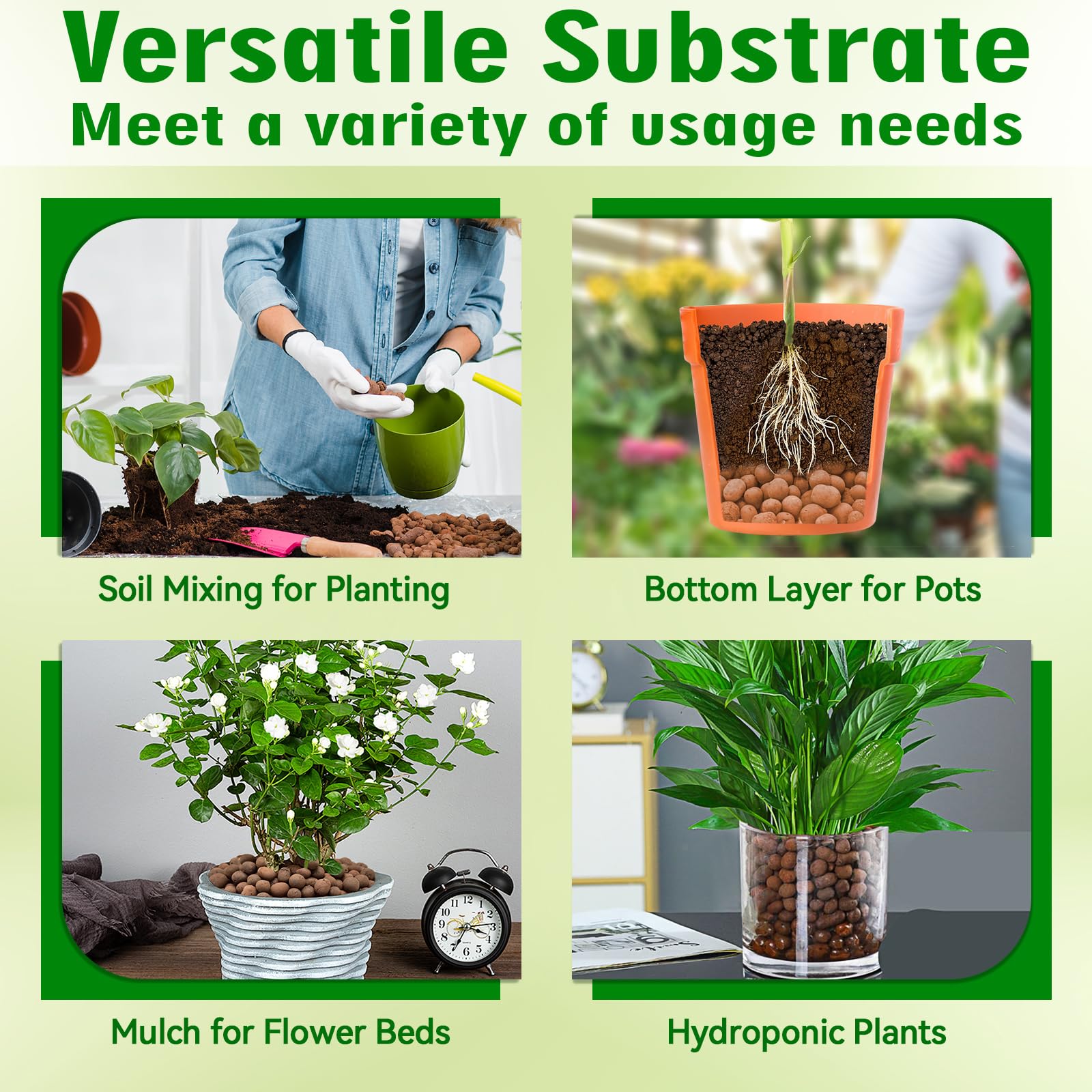 Halatool terrarium bioactif monté illustrant résultat final propre et stable