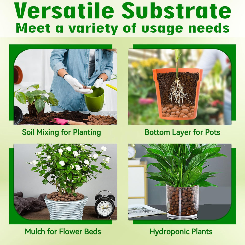 Halatool terrarium bioactif monté illustrant résultat final propre et stable