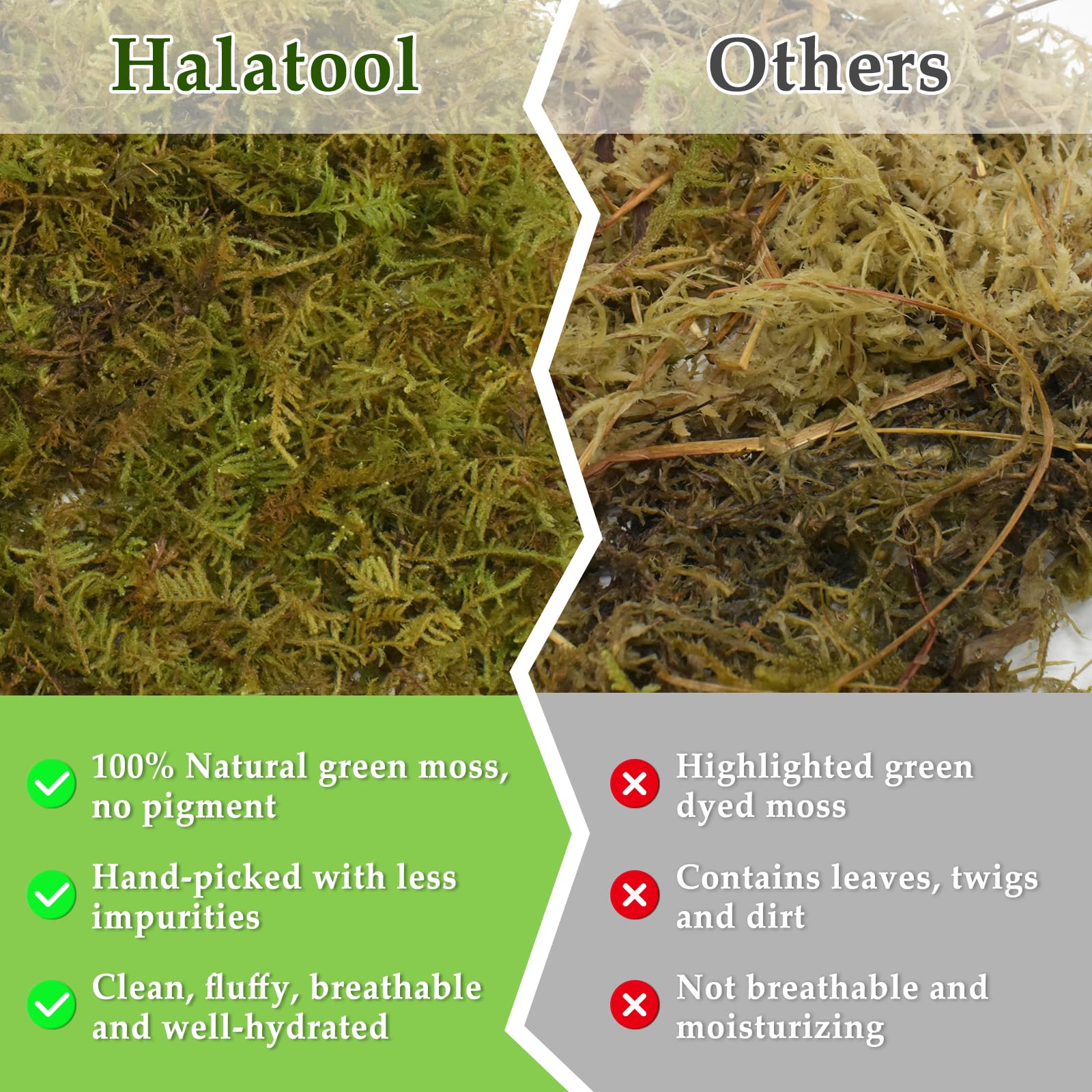 Halatool texture moelleuse en gros plan, assure confort et aération