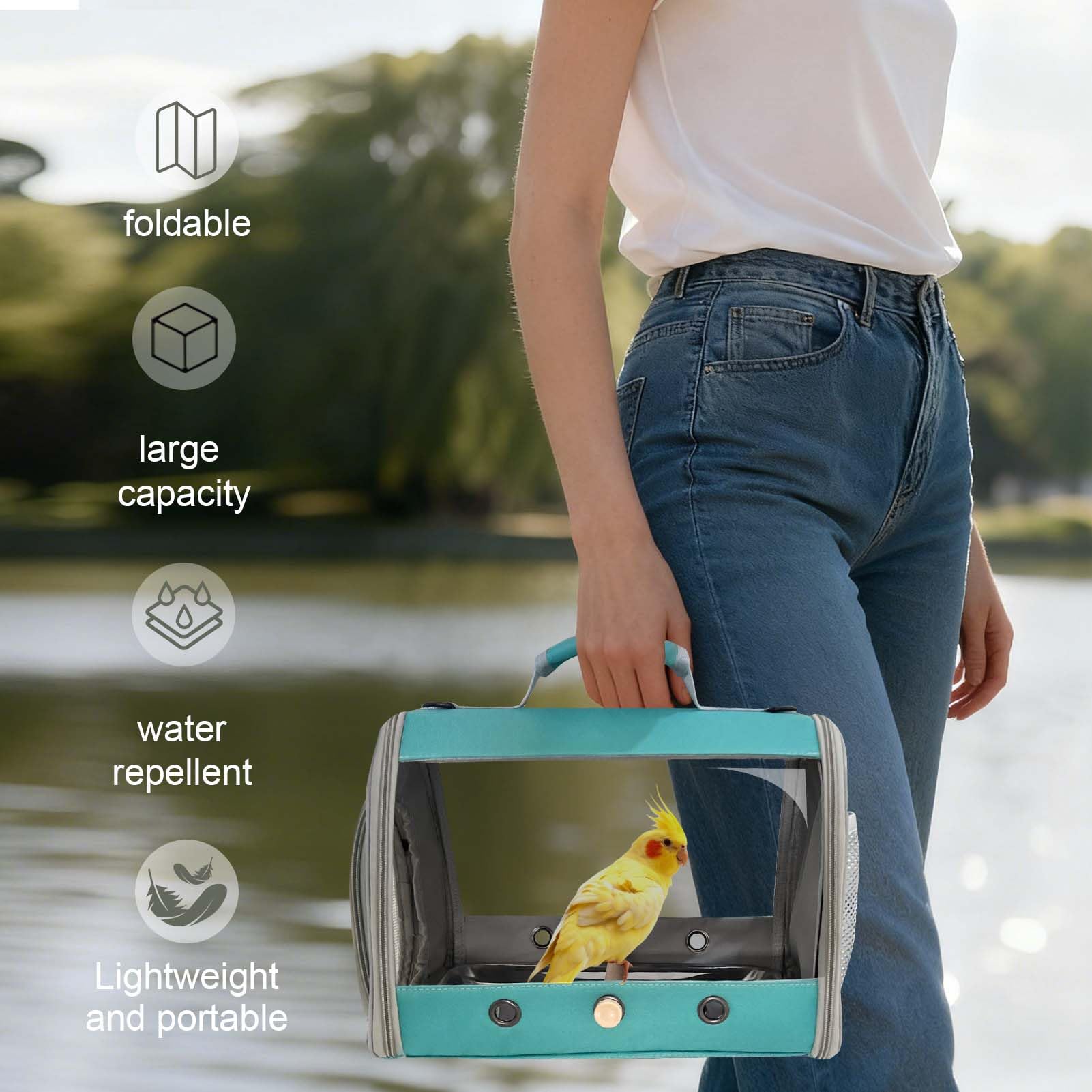 halinfer comparaison taille avec oiseau pour ajustement sûr