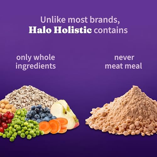 Halo bol rempli illustrant portion quotidienne pratique