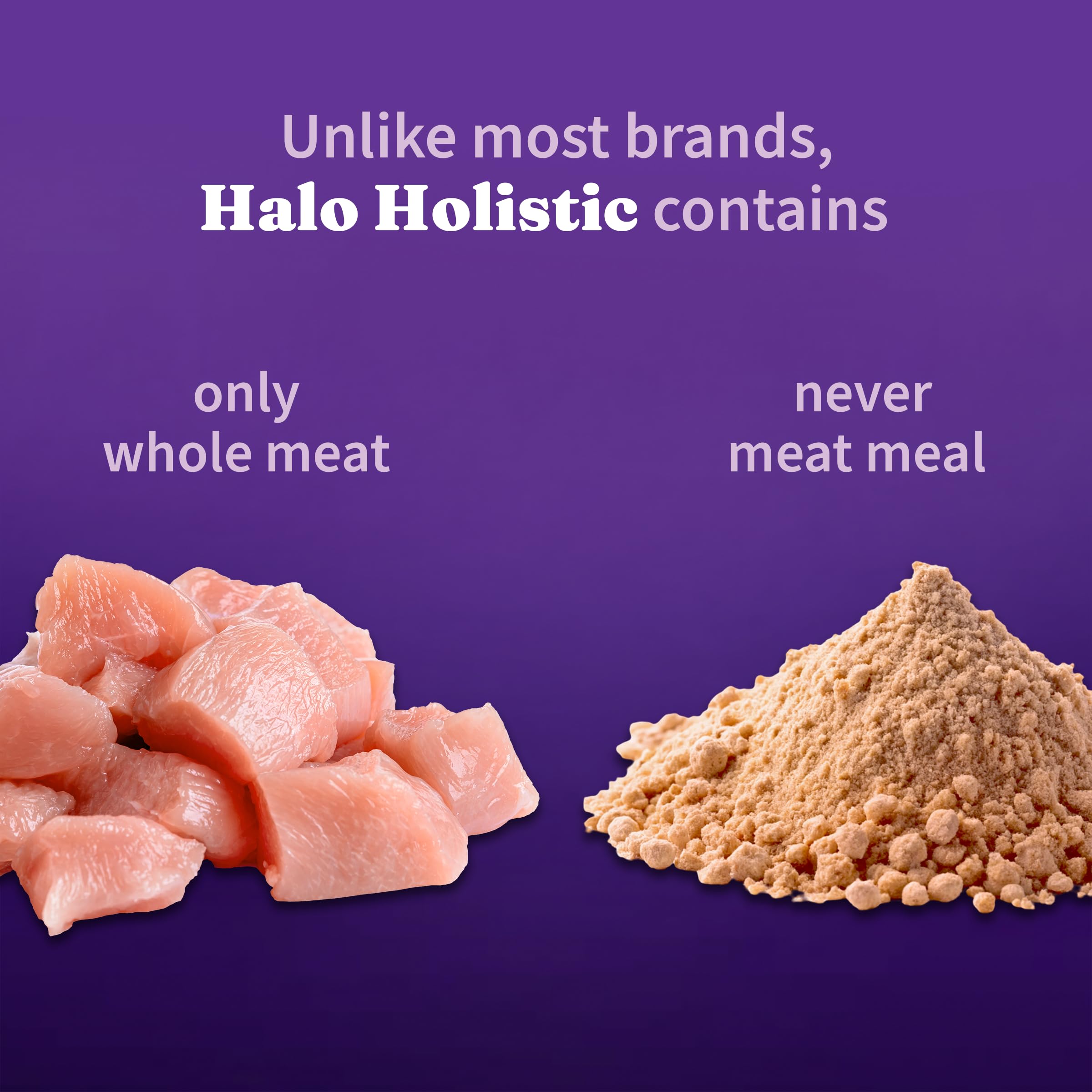 Halo bol rempli de croquettes prêt à servir pour petit chien