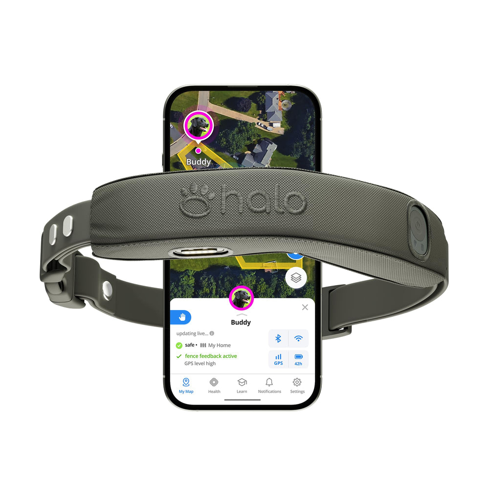 Halo Collar 5 Graphite face avant montrant design robuste et finition