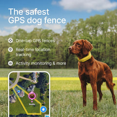 Halo Collar profil avec attache, Halo et réglage robuste pour confort du chien